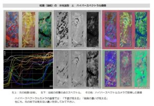 ハイパースペクトルカメラの測定例 技術情報 アイ アール システム